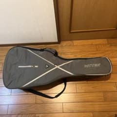 RITTER ギターケース 2本収納 - メルカリ