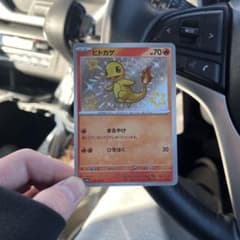 ヒトカゲ  色違いのサムネイル