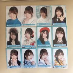 日向坂46 高本彩花 日向表記 生写真 フルコンプ 20コンプのサムネイル