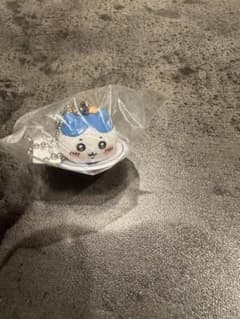 くら寿司　ハチワレのサムネイル