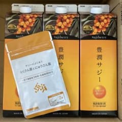 Sajiberry 豊潤サジージュース 100% 3本セット - メルカリ