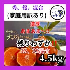 温州みかん 樹熟大坊みかん 優品(家庭用傷あり)3S、2Sサイズ4.5kg