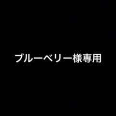 ブルーベリー様専用 妖怪メダル2のサムネイル