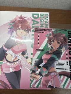 ダンツフレームまとめ売り(「新時代の扉』静電気吸着ポスター・ファイル)のサムネイル