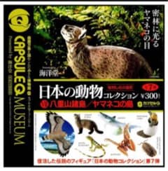 カプセルQミュージアム 日本の動物コレクション7八重山諸島/ヤマネコの島 全7種のサムネイル