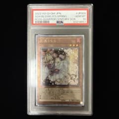 PSA10 灰流うらら 25th クオシク クォーターセンチュリーシークレット