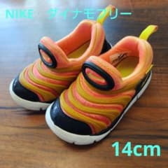 NIKE　ダイナモフリー　14cmのサムネイル