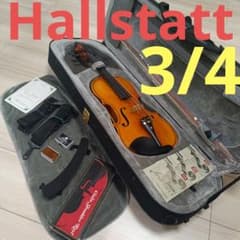 3/4サイズ【付属品多数】ハルシュタット上位モデルV-28 - メルカリ