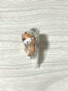 スキズ SKZOO つまんでつなげてマスコット リービット クォッカのサムネイル