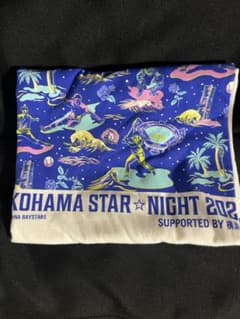 横浜DeNAベイスターズ　スターナイトのサムネイル