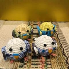 らむたろ。 様 オーダー セキセイインコのサムネイル