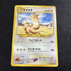 오타치 포켓몬 카드