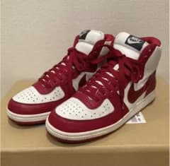 NIKE TERMINATOR HIGH BASIC  ターミネーターベーシックのサムネイル