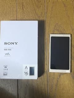 限定価格　SONY ウォークマン NW-A45 付属品完備のサムネイル