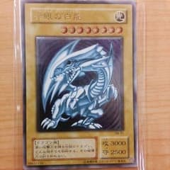 もけもけ様専用予定のサムネイル