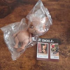 CAPSULE DOLL カプセルドール猫のサムネイル