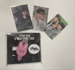 Stray Kids チャンビン ラバークリップ トレカ