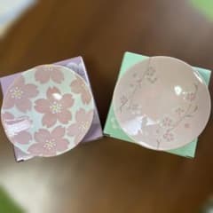 たち吉　小皿　2枚　直径13センチのサムネイル