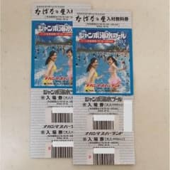 【えり様専用＊】ナガシマ ジャンボ海水プール 入場券2枚のサムネイル