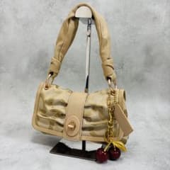 COACH コーチ アクセサリーポーチ パーカー キャンバス オプアート