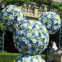 【いちご様専用ページ】のサムネイル