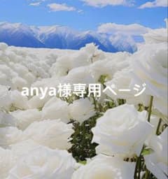 専用ページのサムネイル