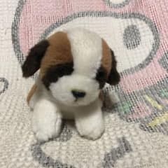 m43412060774_1.jpg?1714286537