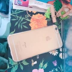 専用のサムネイル