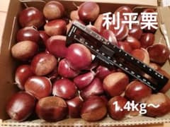 埼玉県産生栗　利平　中〜大　1.3kg〜のサムネイル