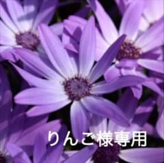 りんご様専用のサムネイル