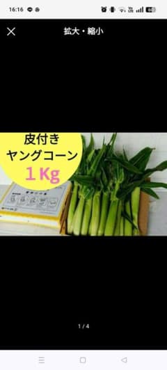 くーやん様専用3kgのサムネイル