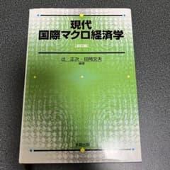 現代国際マクロ経済学のサムネイル