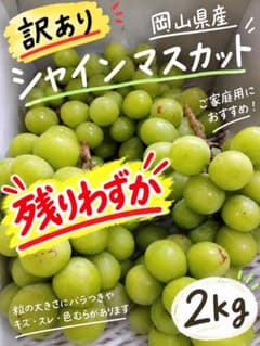 訳あり』岡山県産シャインマスカット 【2kg 】農家直送 大粒 種なし 皮