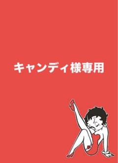 キャンディ様専用✿ポーチ5点のサムネイル