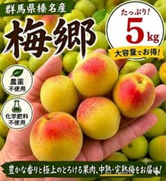 群馬県榛名産 梅郷】5kg【 L〜2L】農薬不使用 化学肥料不使用 中熟完熟 