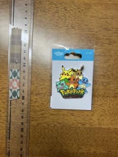 ポケパークカントー限定 ピンズ - メルカリ