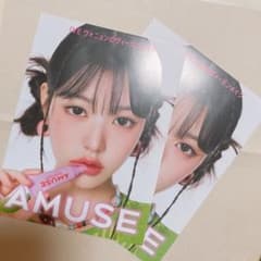 AMUSE ウォニョン リーフレットのサムネイル