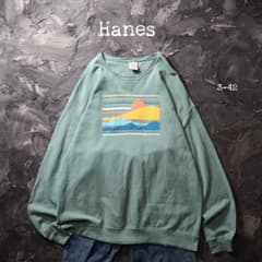 Hanes 트레이너 NATURE BACKS 전 V 풍경