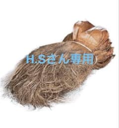 HSさん専用/無農薬シュロ皮（ヤシ科）150枚セット❣️値下げ❣️のサムネイル