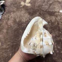 置物 インテリアのサムネイル