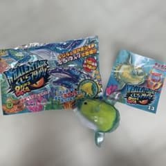 くじらアタック&Co. マンボウ アンドコのサムネイル
