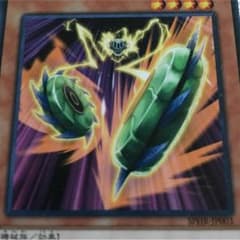 たむたむ様専用のサムネイル