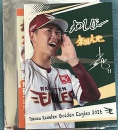 東北楽天ゴールデンイーグルス　わしほーカード 71 柴田大地のサムネイル