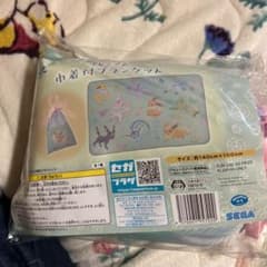 巾着付きブランケット　イーブイのサムネイル