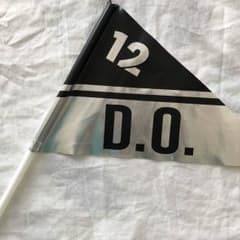 EXO 公式 フラッグ D.O 12のサムネイル