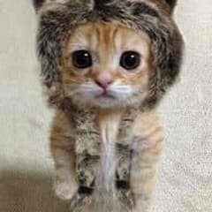tomoya様専用ページ 他の方はNGです。のサムネイル