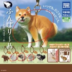 まとめ売り　タカラトミーアーツ ふんばり〜ぬ ガチャのサムネイル