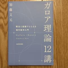ガロア理論12講 概念と直観でとらえる現代数学入門のサムネイル