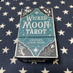 【正規品・銀縁】Moon Tarot Lunastorta タロットカードのサムネイル