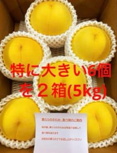 黄ららのきわみ　特に大きい6個を２箱(5kg)のサムネイル
